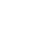Logotype Perfect Style